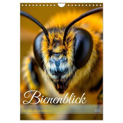 Bienenblick – Ein Jahr mit den Bienen (Wandkalender 2027 DIN A4 hoch), CALVENDO Monatskalender