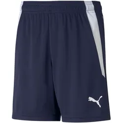 PUMA teamLIGA Shorts Kinder peacoat/puma white 164