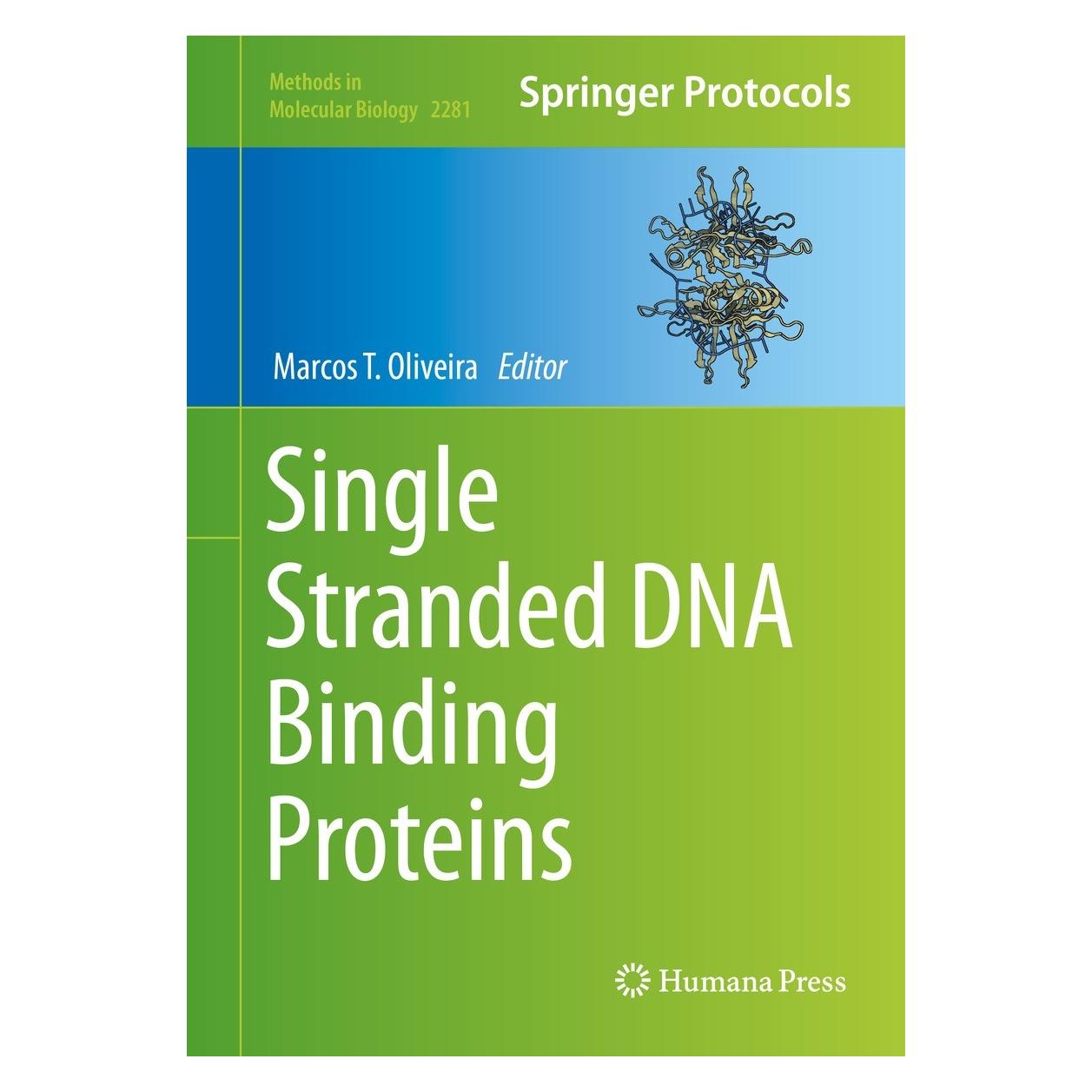 Springer Single Stranded DNA Binding Proteins (Englisch, Hardcover, Marcos T. Oliveira) (9781071612897)