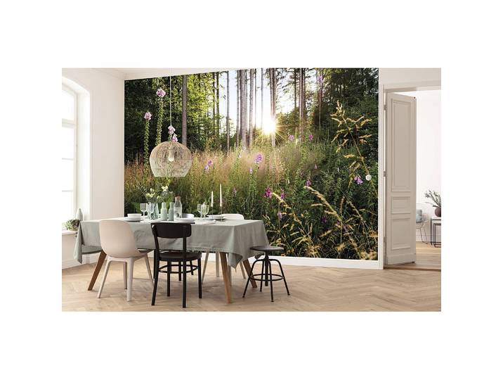 Papier peint Summer Glade 350 x 250 x 0cm