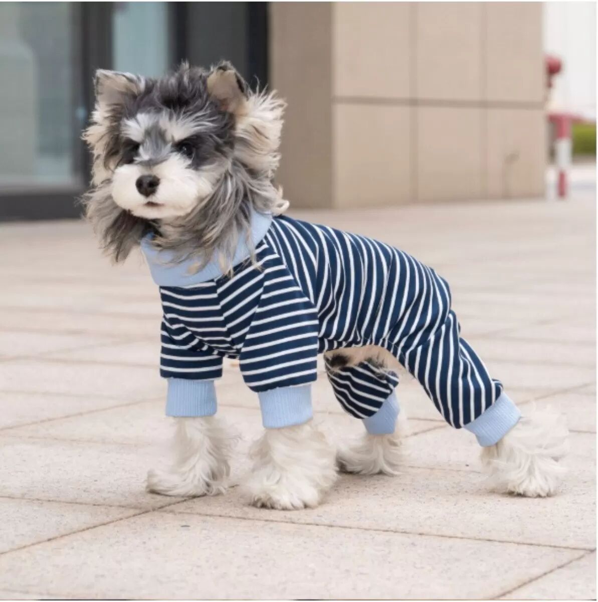 INF Sommer-Dünner Polyester-Hundeganzanzug mit vier Beinen und gestreiftem Kragen – Atmungsaktives Haustier-Outfit M Blau