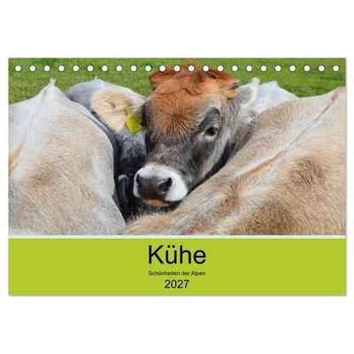 Kühe - Schönheiten der Alpen (Tischkalender 2027 DIN A5 quer), CALVENDO Monatskalender