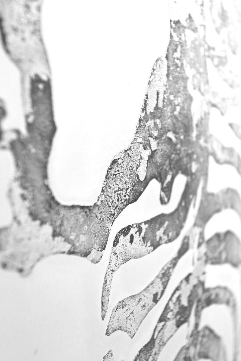Wandbild KAYOOM, silber (farbe bild(er): silber), Zebras, Bilder, Wandbild farbe bild(er): silber Zebras