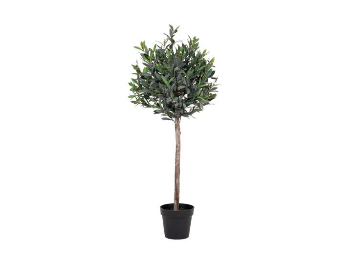 Lebensechter Olivenbaum „Mantara“ Grün, Braun Chosen by Bloomingloft