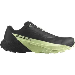 Salomon Herren S/Lab Pulsar schwarz 46.0