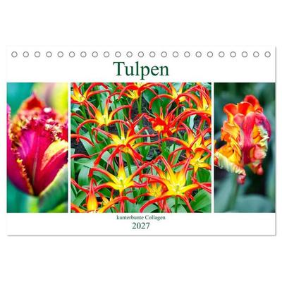 Tulpen - kunterbunte Collagen (Tischkalender 2027 DIN A5 quer), CALVENDO Monatskalender