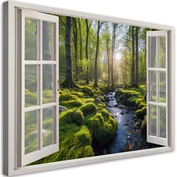 WANDBILD fensterblick wald natur bäume