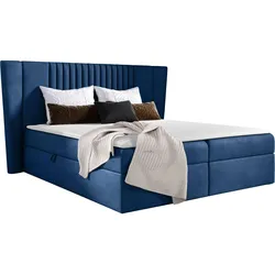 BOXBETT Spark - H3