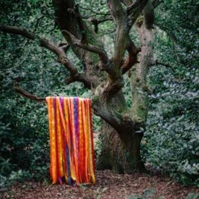 The Animal Spirits - James Holden & The Animal Spirits, CD