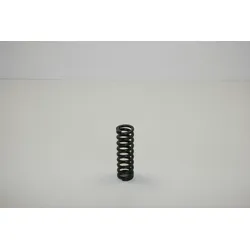Holzstar Feder BTS 250 22x3,6x68