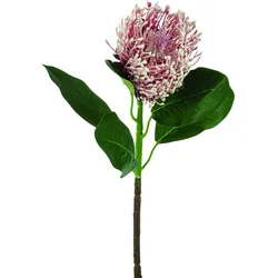 Kunstblume PROTEA (LBH 7x7x65 cm) - bunt - LBH 7x7x65 cm
