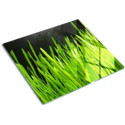 GLASPLATTE 60x52 cm Gras