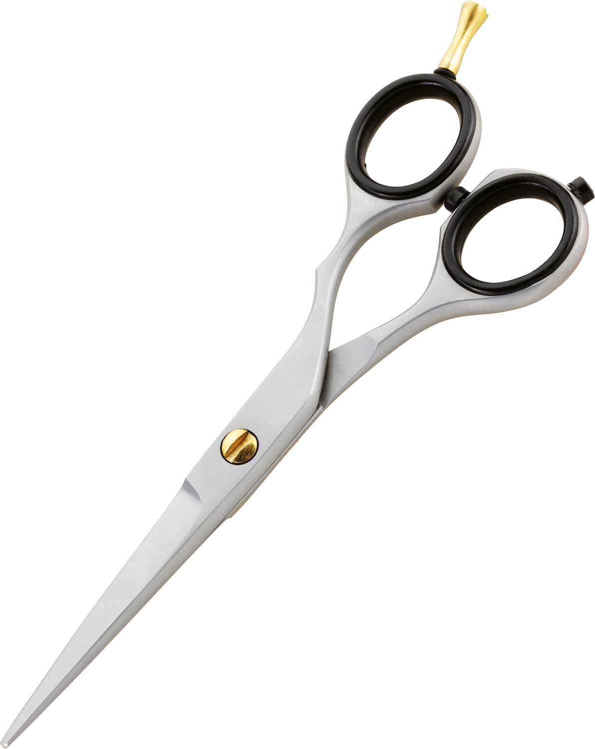 XanitaliaPro Iwasaki Easy Offset 5.5” XP-370.873