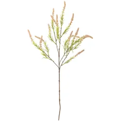 Bloomingville Foxtail Stiel, künstlich, Ø 25 x H76 cm