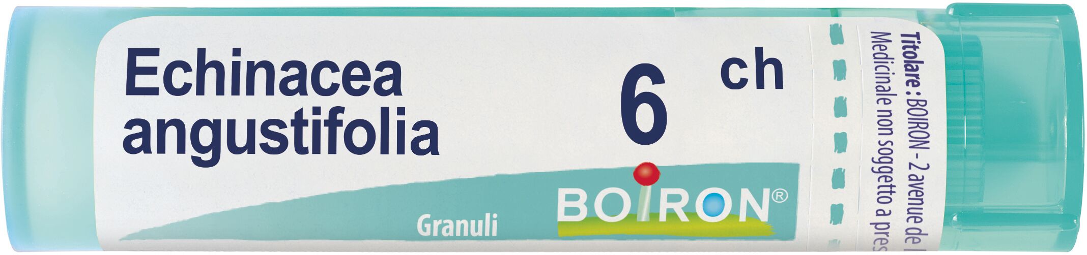 Boiron Echinacea Angustifol 6 Ch Tubo 2020