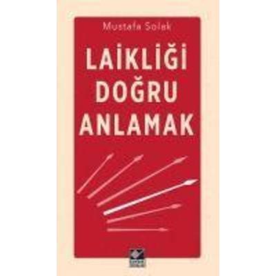 Laikligi Dogru Anlamak, Taschenbuch von Mustafa Solak, Kaynak Yayinlari