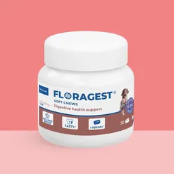 FLORAGEST M, Futterzusatz für Hunde (15–35 kg), Packung mit 30 Tabletten