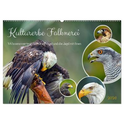 Kulturerbe Falknerei (Wandkalender 2026 DIN A2 quer), CALVENDO Monatskalender