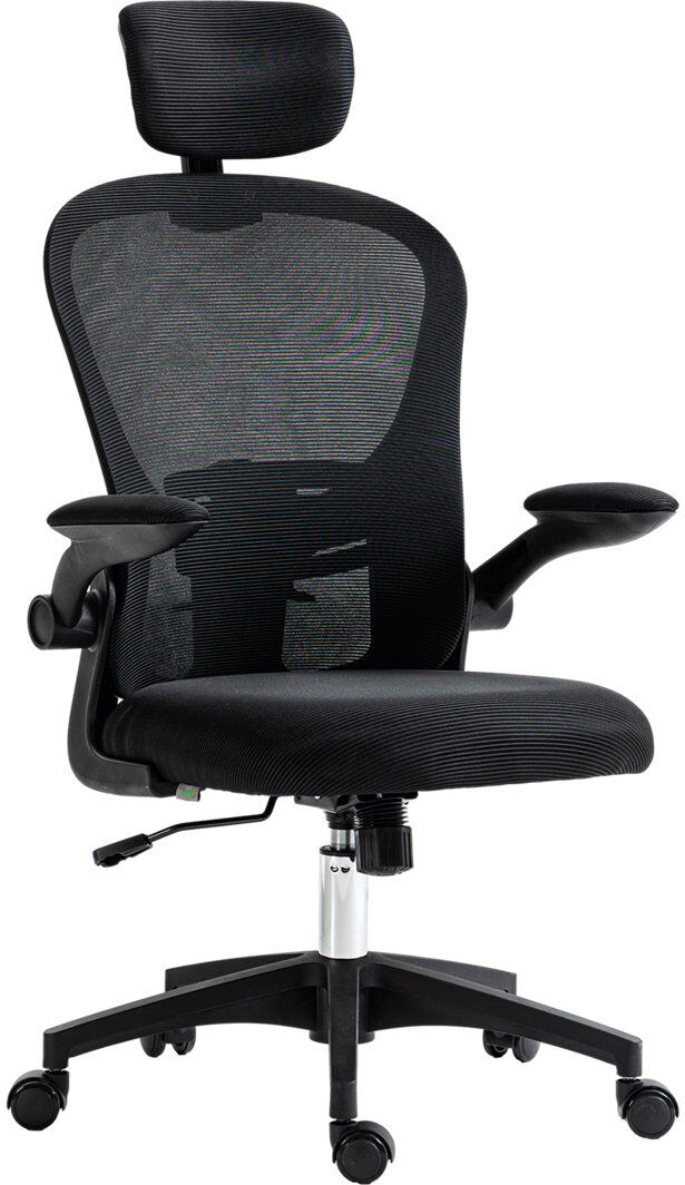 Inbox Zero Mesh Office Chair with Headrest, 4D Lumbar Support, Flip-up Arm Black 62cm W X 64cm D