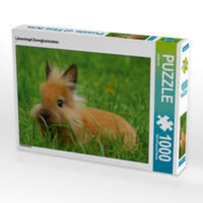 CALVENDO Puzzle Löwenkopf Zwergkaninchen 1000 Teile Lege-Größe 64 x 48 cm Foto-Puzzle Bild von kattobello