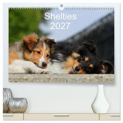 Shelties 2027 (hochwertiger Premium Wandkalender 2027 DIN A2 quer), Kunstdruck in Hochglanz
