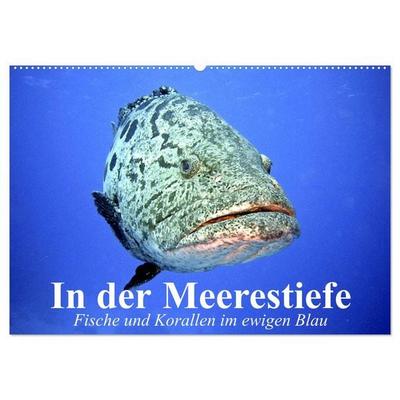 In der Meerestiefe. Fische und Korallen im ewigen Blau (Wandkalender 2026 DIN A2 quer), CALVENDO Monatskalender