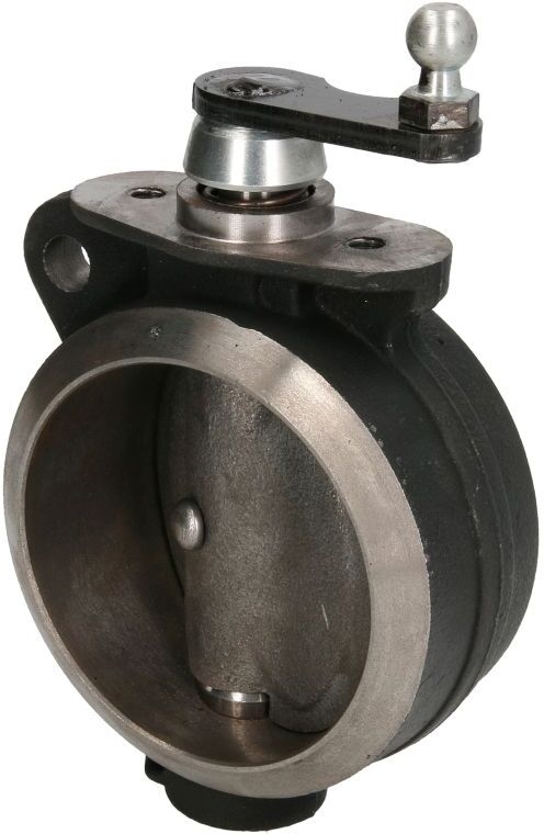 Abgasklappe, Motorbremse CZM 135813