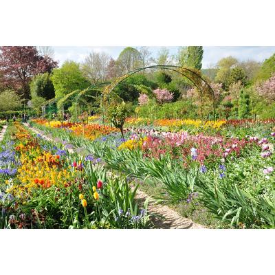 Fototapete PAPERMOON "Monets Garten", bunt, B:4,5m L:2,8m, Vlies, Tapeten
