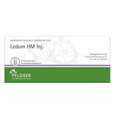 Ledum HM Injekt Ampullen 50 St