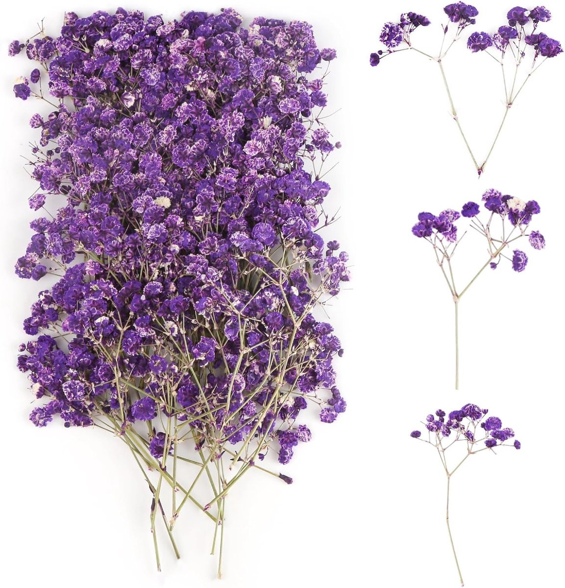 Gedroogde bloemen voor botanische decoratie en doe-het-zelf projecten
