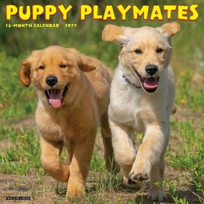 Puppy Playmates 2027 12 X 12 Wall Calendar