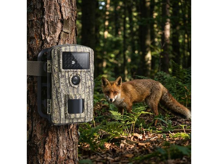 Camouflage Wildkamera mit Bewegungssensor, Nachtsicht und Mikrofon, IP66