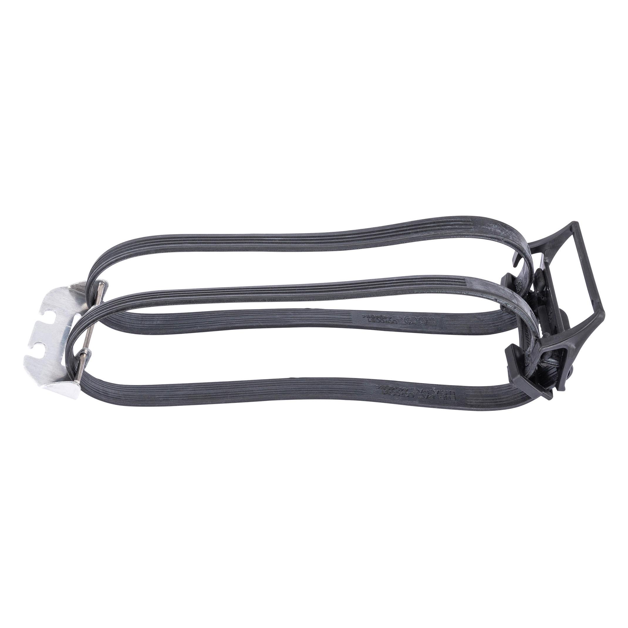 Bibia Hanke (104010)