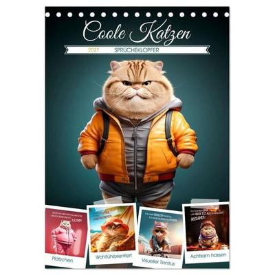 COOLE KATZEN Sprücheklopfer (Tischkalender 2027 DIN A5 hoch), CALVENDO Monatskalender