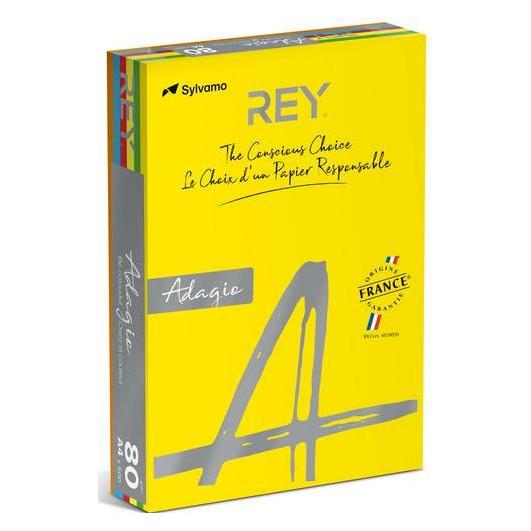 Rey Farbiges Papier RYADA080X911 Farbig Sortiert 80 g/qm (A4, 80 g/m²) (RYADA080X911)