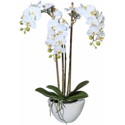 Kunstpflanze CREATIV GREEN "Mini Orchidee", weiß, B:14cm H:51cm T:8,5cm, Kunstpflanzen, Kunstpflanze