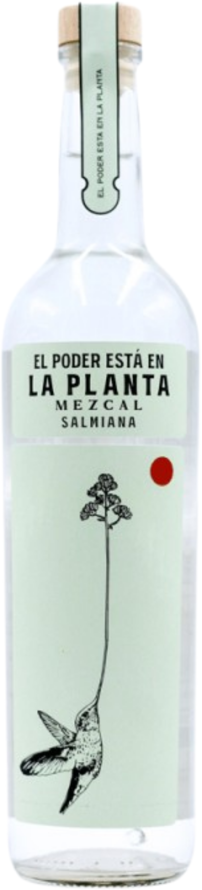 La Planta Mezcal 'Salmiana'