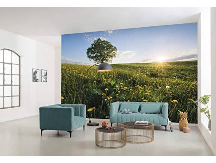 Komar Vlies Fototapete FRÜHLING AUF DEM LAND Tapete, XXL, Dekoration, Natur, Landschaft, Schlafzimmer, Wohnzimmer, Büro, Flur Größe 450 x 280 cm (Breite x Höhe) SHX9-034