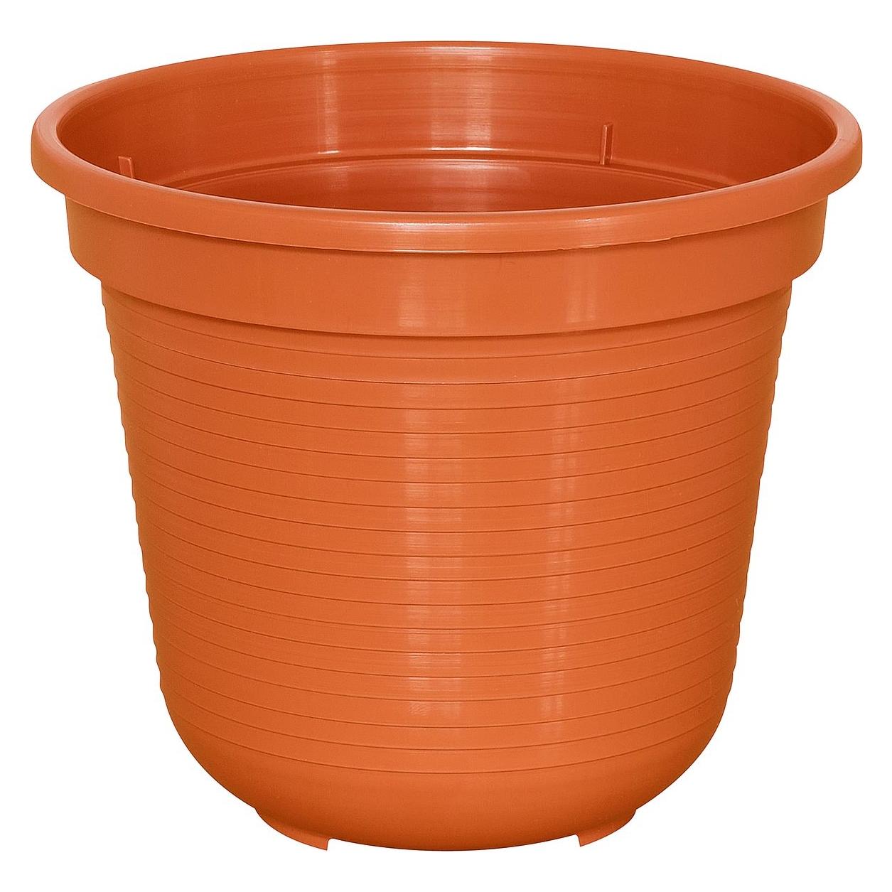 Geli Standard (16 x 14 cm) (GELI)
