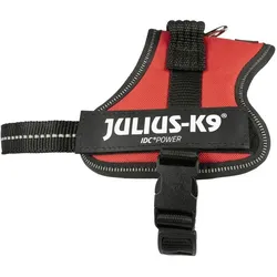 Julius-K9 Powergeschirr für kleinere Hunde ergonomisch (mini1, XS, Hund, Spazieren), Halsband + Leine