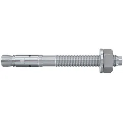 Fischer Deutschl. Bolzenanker FBZ 8/10