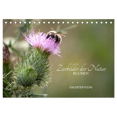 Zierbilder der Natur BLUMEN (Tischkalender 2026 DIN A5 quer), CALVENDO Monatskalender