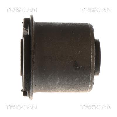 TRISCAN Lagerung, Lenker 8500 81811 für Tesla
