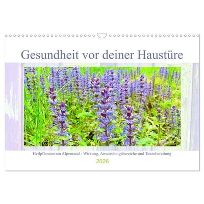 Gesundheit vor deiner Haustüre - Heilpflanzen am Alpenrand - Wirkung, Anwendungsbereiche und Teezubereitung (Wandkalender 2026 DIN A3 quer), CALVENDO