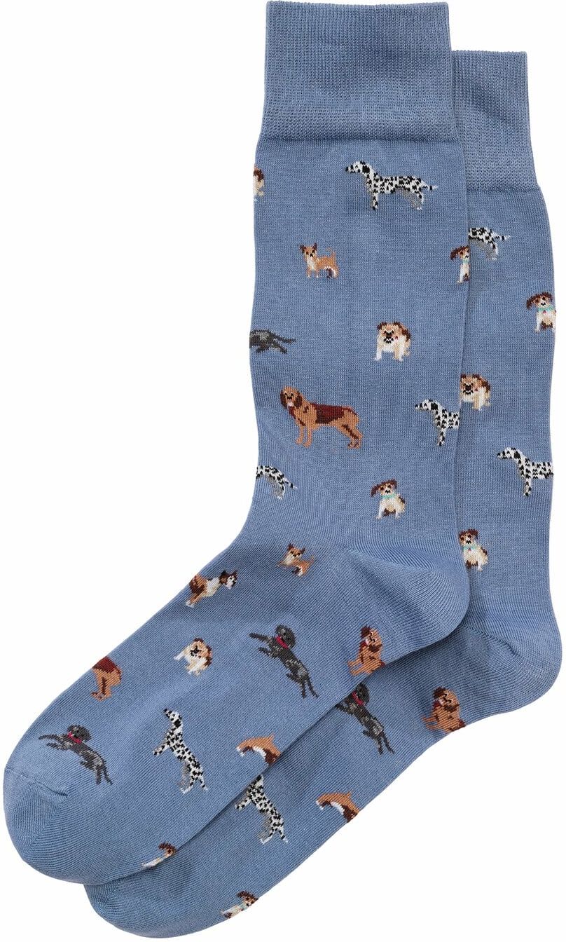 Corgi Hund & Grund-Socke Blau 39-41