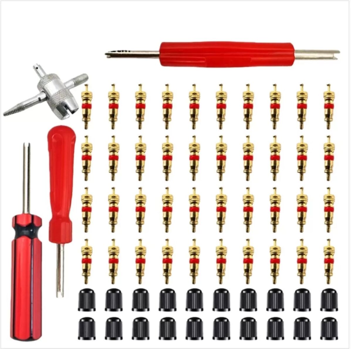 INF 64-teiliges Motorrad Fahrrad Auto Reifen Ventileinsatz Entferner Installationswerkzeug Set (Box Schwarz Rot Dual Kopf)