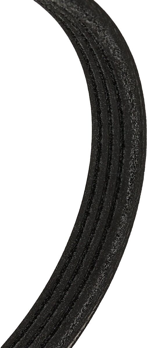 RIDEX 305P0008 Multiriem