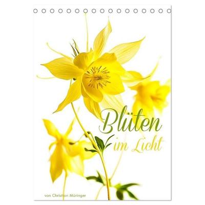 Blüten im Licht (Tischkalender 2027 DIN A5 hoch), CALVENDO Monatskalender