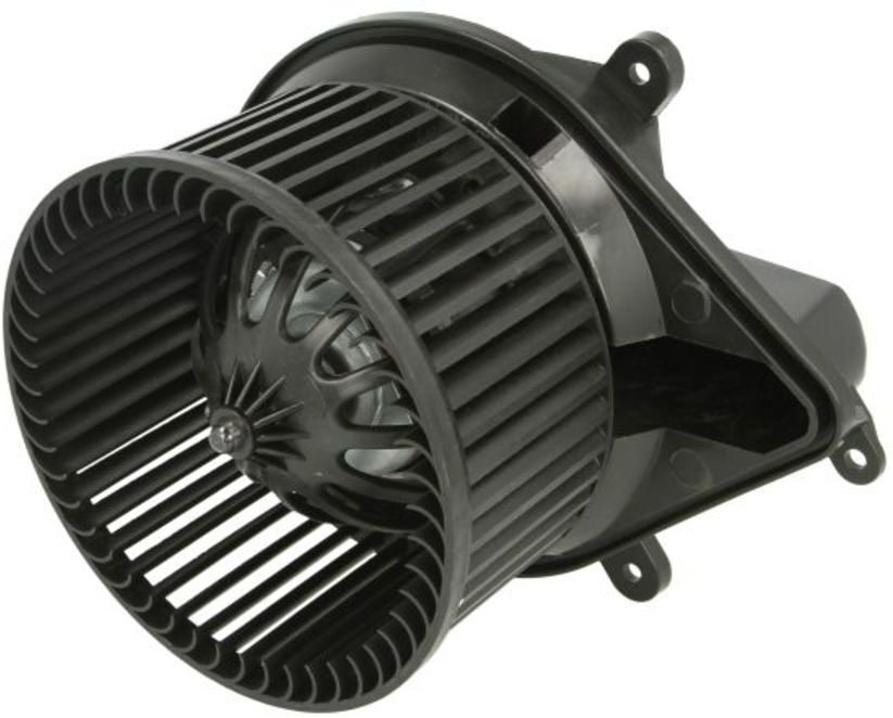 Elektromotor, Innenraumgebläse THERMOTEC DDR009TT