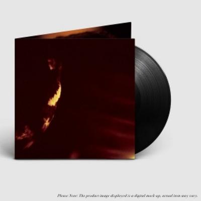 Stormcrowfleet (30th Anniversary Edition) - Skepticism, Vinyl